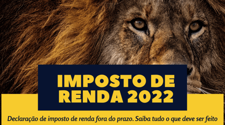 Imposto de Renda 2022: Declaração de imposto de renda fora do prazo