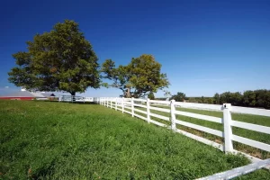 Como Consultar ITR Atrasado: Veja Como Regularizar Seu Imóvel Rural