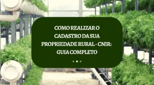 Como Realizar o Cadastro da Sua Propriedade Rural – CNIR: Um Guia Completo