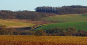 Quantos alqueires tem um hectare no Brasil?