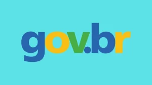 Descomplicando o Acesso Gov: Tudo Que Você Precisa Saber para Navegar na Plataforma do Governo